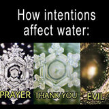 Botella de agua Prehnita Gem Pod 💧