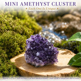 Mini grappe d'améthyste