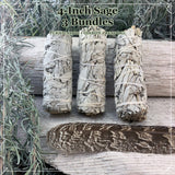 Faisceaux de sauge blanche de 4 pouces