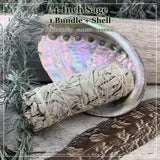 Kit de taches : sauge blanche (4 pouces) + coquille d'ormeau