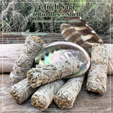 Kit de taches : sauge blanche (4 pouces) + coquille d'ormeau