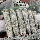 Faisceaux de sauge blanche de 6 pouces