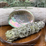 Kit de taches : sauge blanche (6 pouces) + coquille d'ormeau
