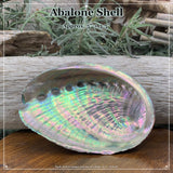 Coquille d'ormeau