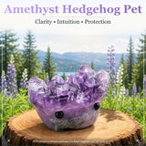 Crystal Amethyst Hedgehog Pet (ΥΙΟΘΕΤΗΣΤΕ ΜΕ ΠΑΡΑΚΑΛΩ) 🥰