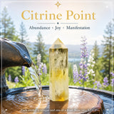 Pointe Citrine