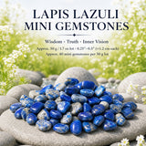 Mini pierres précieuses Lapis Lazuli (lot de 50 grammes / 1,7 oz)
