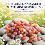 Red Carnelian Banded Agate Mini Gemstones (50 Gram / 1.7oz. Lot)