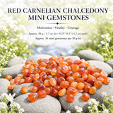 Mini pierres précieuses de calcédoine cornaline rouge (lot de 50 grammes / 1,7 oz)