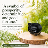 Crystal Animal Spirit Totems: Black Protection Agate Pig