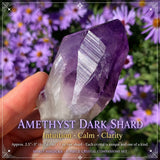 6-Piece Crystal Companions Set