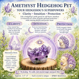 Crystal Amethyst Hedgehog Pet (ΥΙΟΘΕΤΗΣΤΕ ΜΕ ΠΑΡΑΚΑΛΩ) 🥰