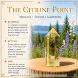 Citrine Star + Point Abundance Set