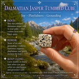 Dalmatisk Jaspis Tumbled Cube