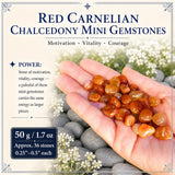 Mini pierres précieuses de calcédoine cornaline rouge (lot de 50 grammes / 1,7 oz)