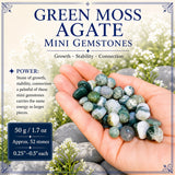 Mini pierres précieuses d'agate mousse verte (lot de 50 grammes / 1,7 oz)
