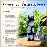Pointe d'obsidienne flocon de neige