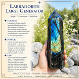 Labradorit stor generator