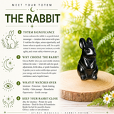Crystal Animal Spirit Totems: Black Protection Agate Rabbit