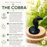 Crystal Animal Spirit Totems: Black Protection Agate Cobra