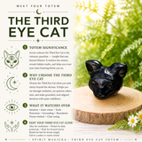 Crystal Animal Spirit Totems: Black Protection Agate Third Eye Cat