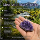 Mini grappe d'améthyste