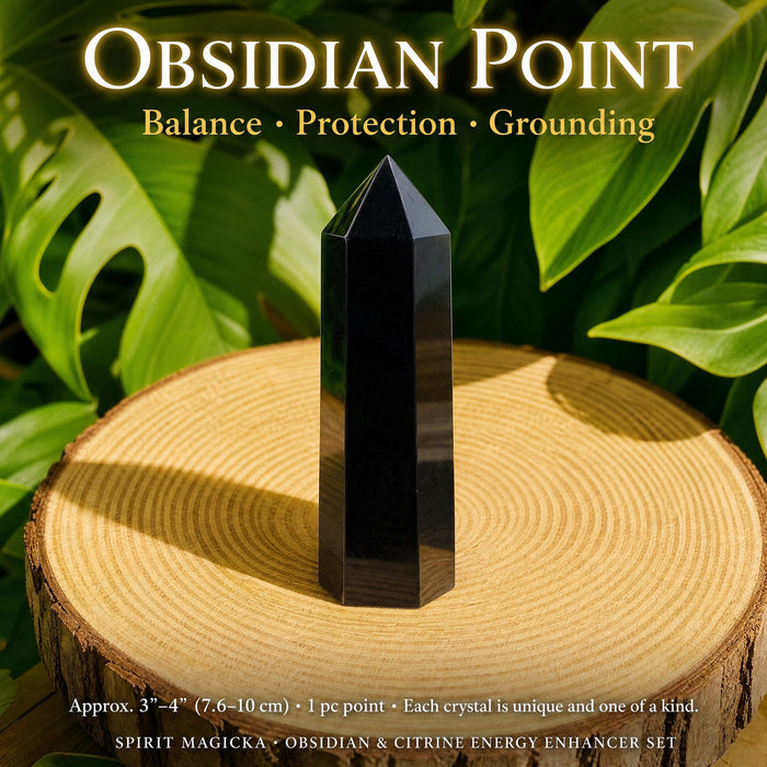 A polished black obsidian point standing on a wood slice among green leaves