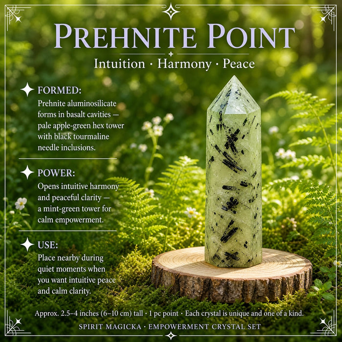 A pale green prehnite point with black tourmaline needles standing on a wood slice