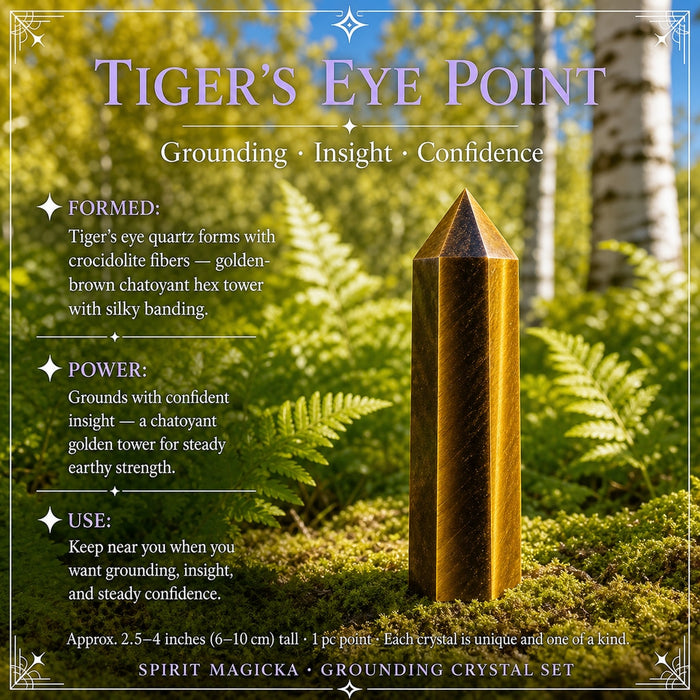 A golden-brown tiger’s eye point among ferns