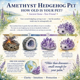 Crystal Amethyst Hedgehog Pet (ΥΙΟΘΕΤΗΣΤΕ ΜΕ ΠΑΡΑΚΑΛΩ) 🥰