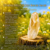 Citrine Abundance Edelsteinbeutel-Set