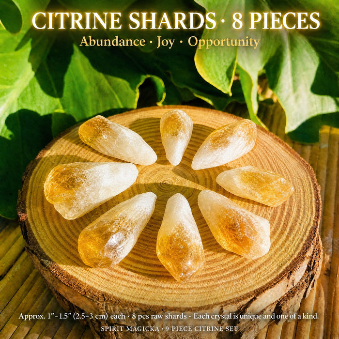 Eight raw citrine shards arranged in a circle on a wood slice