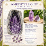 8-delna konica Amethyst + Komplet Amethyst Shards