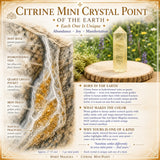 Citrine Mini Crystal Point