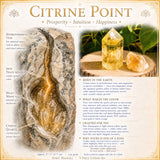 9-Piece Citrine Set