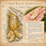 Éclats bruts de citrine (moyen)