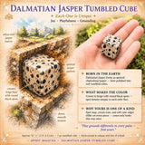 Dalmatisk Jaspis Tumbled Cube