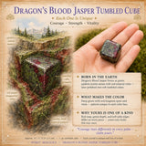 Cubo caído de jaspe de sangre de dragón