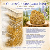 Cuisine dorée Jasper Point