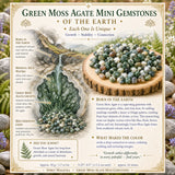 Mini pierres précieuses d'agate mousse verte (lot de 50 grammes / 1,7 oz)