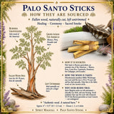 Bâtonnets de Palo Santo