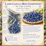 Mini pierres précieuses Lapis Lazuli (lot de 50 grammes / 1,7 oz)