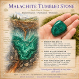 Pierre roulée malachite