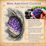 Mini grappe d'améthyste