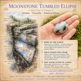 Elipse caída de piedra lunar