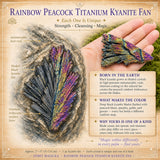 Éventail Rainbow Peacock Titanium Kyanite