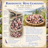 Mini pierres précieuses de rhodonite (lot de 50 grammes / 1,7 oz)
