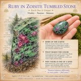 Piedra rodada Rubí en Zoisita