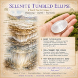 Selenit Ellipse sten