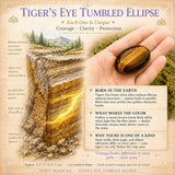 Elipse caída de ojo de tigre